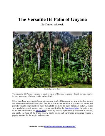 Guyanese online